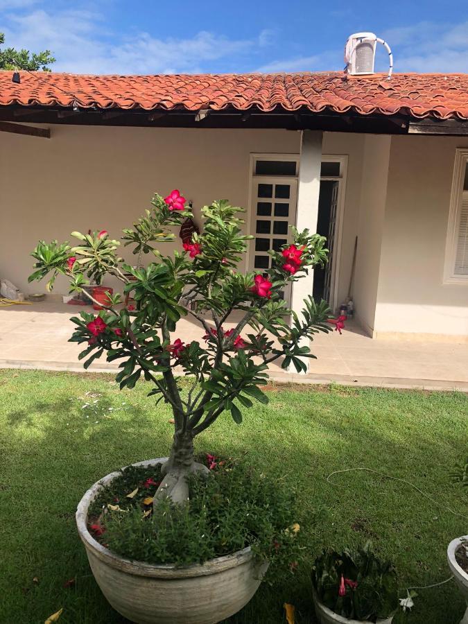 Caroa Piranhas Suites ภายนอก รูปภาพ